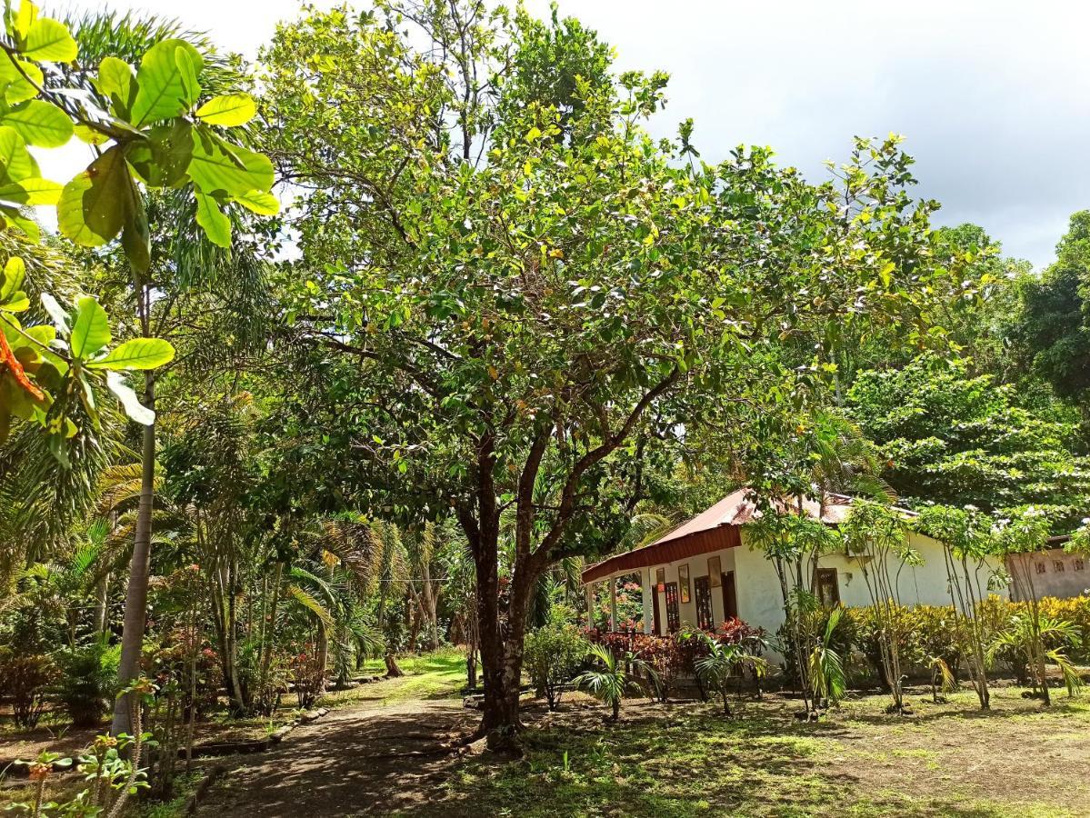 Tangkoko Jungle Homestay Rinondoran Exterior foto